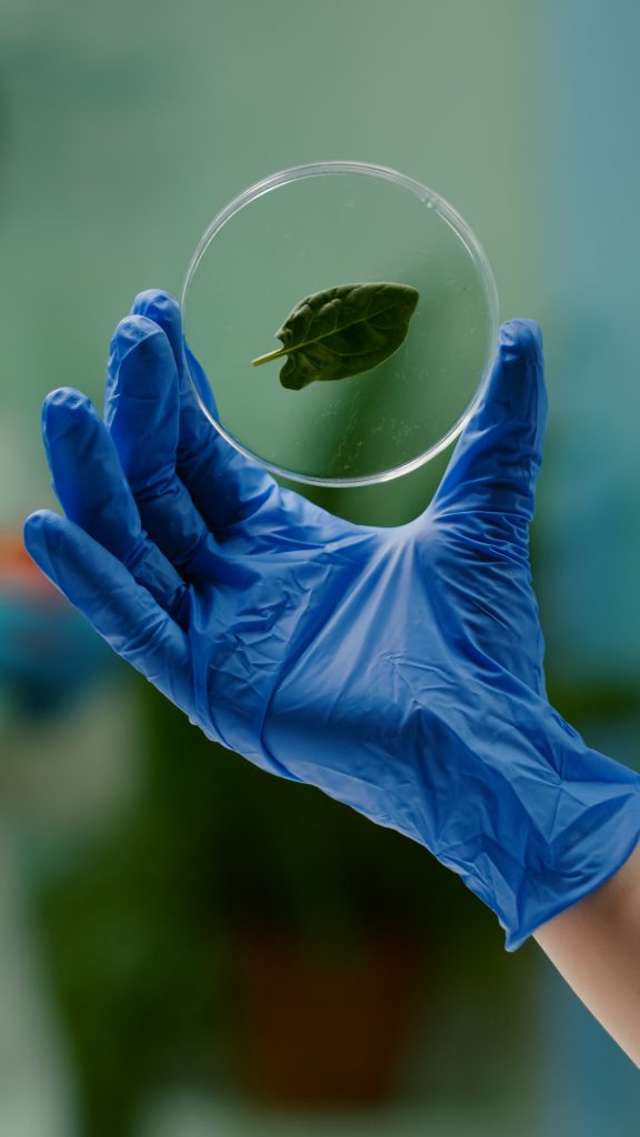 Closeup of biologist woman hands holding medical sample of green leaf