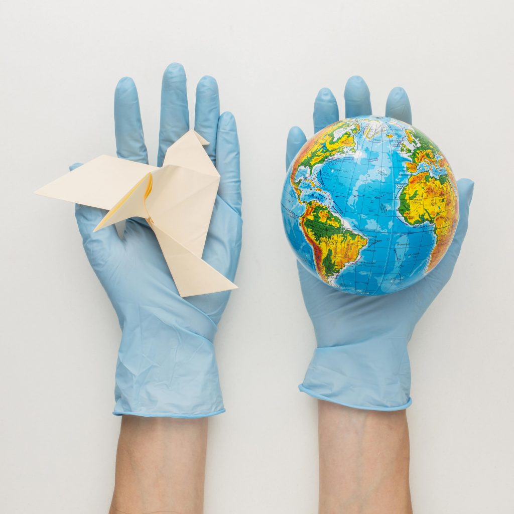top-view-hands-with-gloves-holding-dove-globe